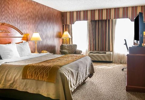 寝室 Comfort Inn Ann Arbor Area