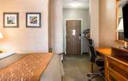 Bedroom 4 Comfort Inn Ann Arbor Area