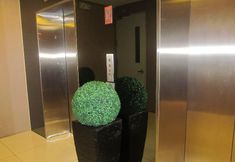 기타 3 Sequoia Hotel