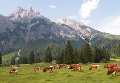 อื่นๆ 5 Travel Charme Bergresort Werfenweng