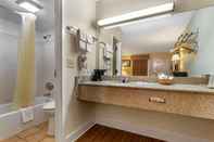 In-room Bathroom Econo Lodge Inn & Suites Lugoff