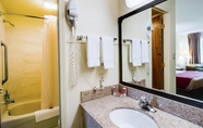 In-room Bathroom 7 Econo Lodge Christiansburg-Blacksburg I-81