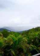 VIEW_ATTRACTIONS Curramore Country Cabins  Maleny Cabins