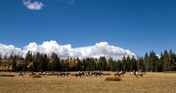 Điểm tham quan lân cận Rockin' R Ranch