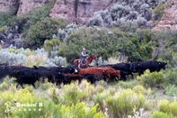 Trung tâm thể thao Rockin' R Ranch