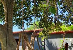 Lainnya 7 Murat Pasa Konagi