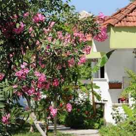 Hotel Riverside 1, Hotel Karya Villa