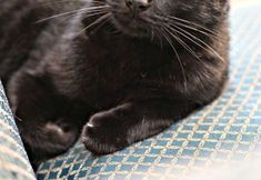 ล็อบบี้ 4 The Highland Inn & Ballroom Lounge