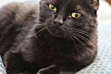 ล็อบบี้ The Highland Inn & Ballroom Lounge