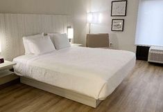 その他 4 Best Western Plus Sugar Land/Stafford