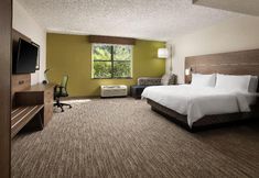 その他 7 Holiday Inn Express Hotel & Suites DFW North