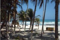 Nearby View and Attractions Golden Paradise