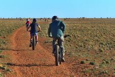 Fitness Center Solitaire Guest Farm