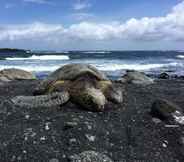 Nearby View and Attractions 5 Hawaii Island Resort