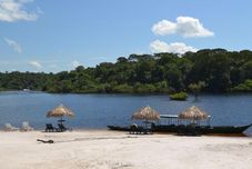 その他 Amazon Ecopark Jungle Lodge