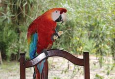 その他 5 Amazon Ecopark Jungle Lodge