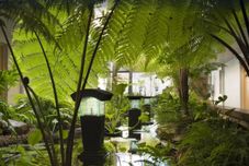 Common Space Le Lagon