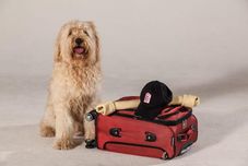 健身中心 Red Roof Inn Flushing New York - LaGuardia Airport