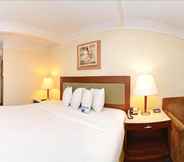 Bedroom 5 Lexington Inn & Suites - N.W. Chicago West/Elgin
