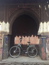 기타 4 Riad Camilia