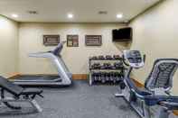 Fitness Center Comfort Inn & Suites Springfield