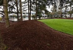 อื่นๆ 6 Holiday Inn Seattle-Issaquah