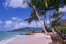 기타 Lamai Bay View Resort