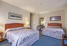 その他 5 Harrington