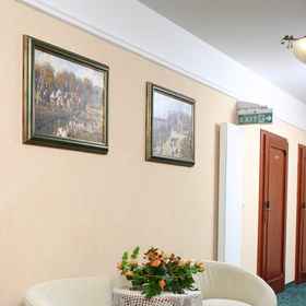 Hubertus1 , 飯店Millenium Hall