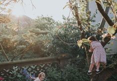 Others 2 Rosehill House Hotel