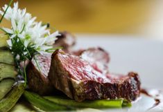 Others 4 The Oak House