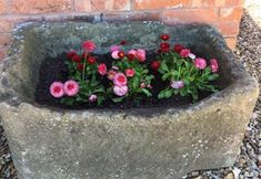 Others 5 The Goat House