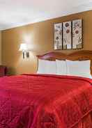 null Quality Inn & Suites Atlanta Airport South