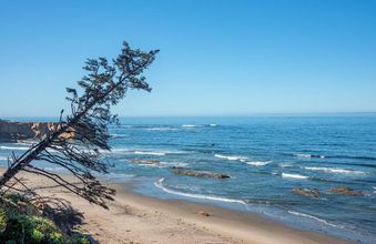 其他 4 Otter Rock Timeshares