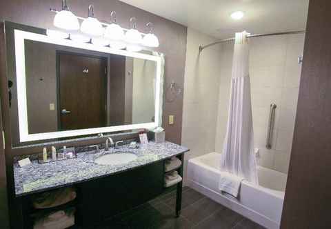 In-room Bathroom DoubleTree by Hilton Bemidji