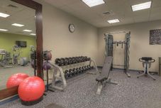 娯楽施設 Hilton Garden Inn Pigeon Forge, TN