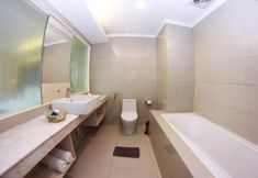 其他 3 Pangrango II