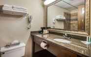 In-room Bathroom 7 Quality Inn & Suites Manistique Area