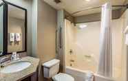 In-room Bathroom 7 Comfort Inn Bellevue