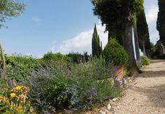 其他 6 Macciangrosso - One Bedroom