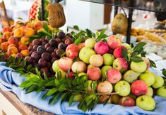 Others 5 Ares Blue Hotel