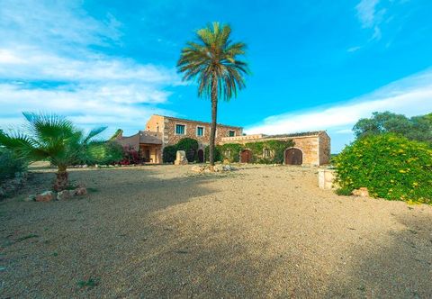 기타 Es Lloquet-The Secret Place