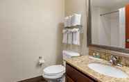 In-room Bathroom 6 MainStay Suites Denver