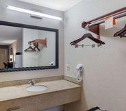 In-room Bathroom 4 Quality Inn & Suites Port Arthur - Nederland