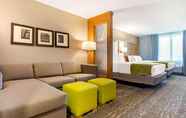 Bilik Tidur 5 Comfort Suites North Charleston - Ashley Phosphate