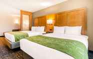 Bilik Tidur 7 Comfort Suites North Charleston - Ashley Phosphate