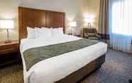 Bilik Tidur 4 Comfort Inn & Suites Edgewood