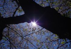 Nearby View and Attractions 4 Hakone Yumoto Onsen Hoeiso