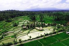 其他 De Klumpu Bali