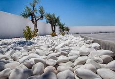 기타 2 May Seven Suites Hotel